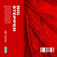 BIG STEPPER: Exclusive Piano Samples