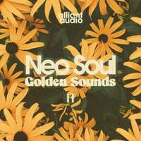 Neo Soul Golden Sounds 2