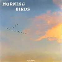 Morning Birds