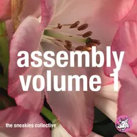 Assembly Vol. 1