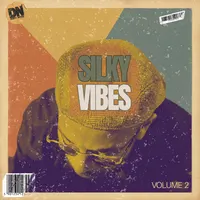 Silky Vibes Vol.2