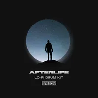 Afterlife Lo-Fi Drum Shots