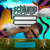 Schlump Loops 8