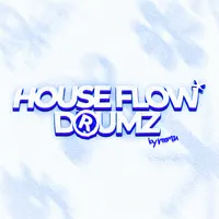 House Flow Drumz Vol.1
