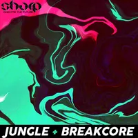 Breakcore & Jungle