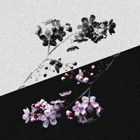 Gloomy Vibes Vol.7
