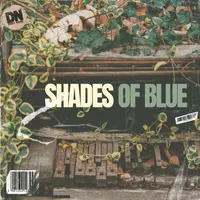 Shades Of Blue