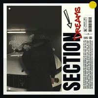 SECTION DREAMS