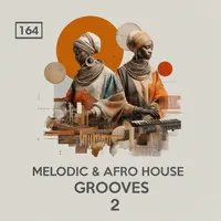 Melodic & Afro House Grooves 2