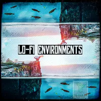 Lo-Fi Environments