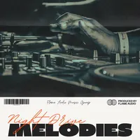 NIGHT DRIVE MELODIES