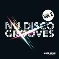 Nu Disco Grooves 2