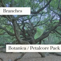 Branches