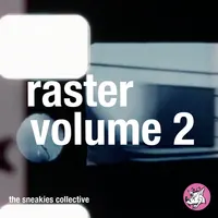 Raster Vol. 2