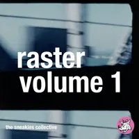 Raster Vol. 1