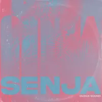 SENJA: Deep Lo-Fi Cuts