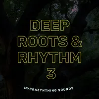 Deep Roots & Rhythm Vol. 3