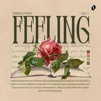 Feeling - RnB and Detroit