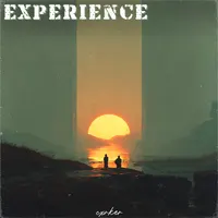 Experience