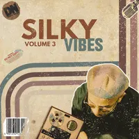 Silky Vibes Vol.3