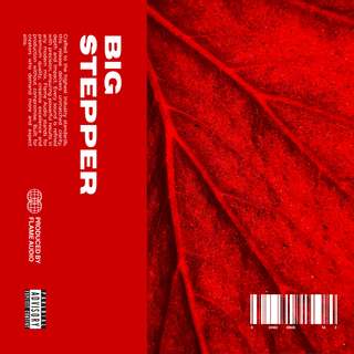 BIG STEPPER: Exclusive Piano Samples