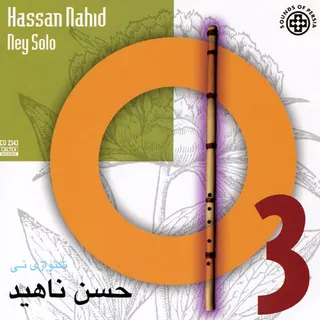 Hassan Nahid
