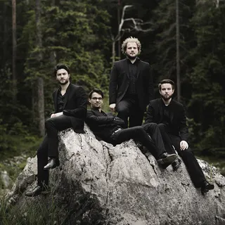 Goldmund Quartet