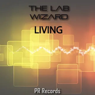 The Lab Wizard