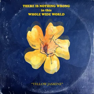 There Is Nothing Wrong In This Whole Wide World
