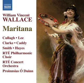 RTÉ Concert Orchestra