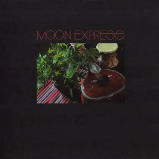 Moon Express