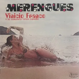Vinicio Franco Y Su Conjunto Tipico Cibaeño