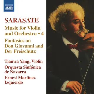 Navarre Symphony Orchestra