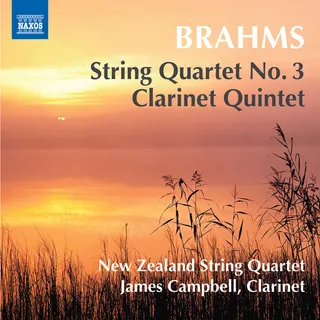 Johannes Brahms