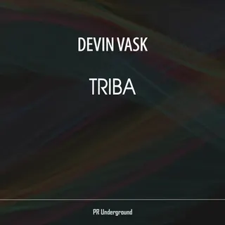 Devin Vask