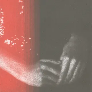 Song No.5