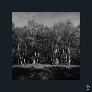 Stenfjäll