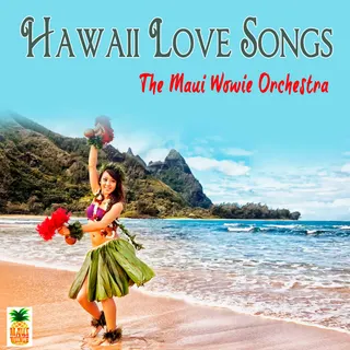 The Maui Wowie Orchestra