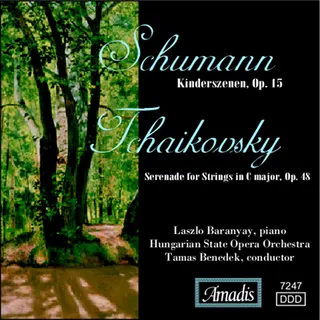 Tamas Benedek