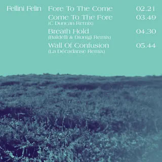 Fellini Felin