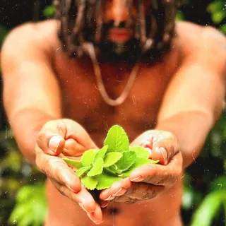 Jairo Pereira