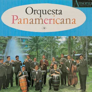 La Mujer De Palo