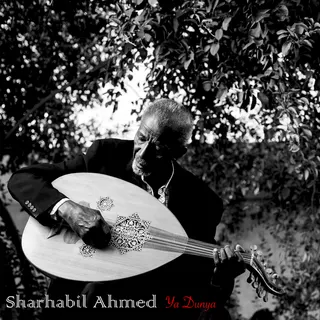 Sharhabil Ahmed