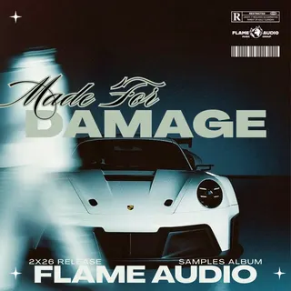 MADE FOR DAMAGE