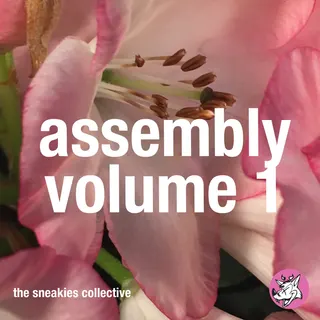 the sneakies collective