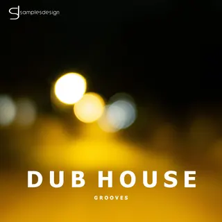 Dub House Grooves