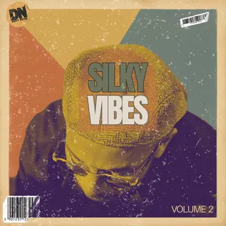 Silky Vibes Vol.2