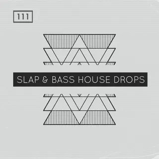 Slap and Bass House Drops