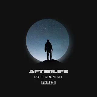 Afterlife Lo-Fi Drum Shots