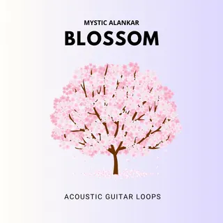 Blossom